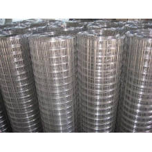 Ferro galvanizado soldado Wire Mesh